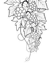 Decorations of red grapes natural background