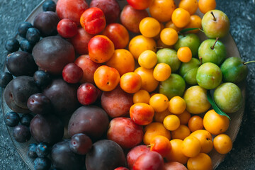 Multicolored plums on a plate are laid out by color.