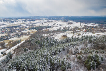 Aerial winter forest, trees and snow in Poland.