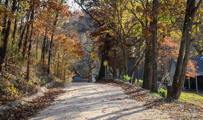 Country dirt road in autum with golden hour sun on colorful leaves and old farm house to side and sign saying Slow Grandchildren Playing