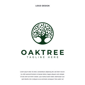 Creative Oak tree icon logo design vector illustration. Oak tree logo design color editable