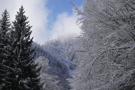 Winterwanderung Rudersburg