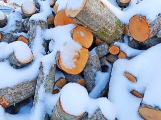wood in the snow a large pile is piled under the snow
