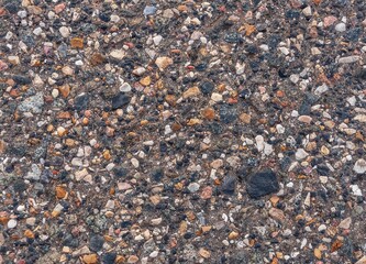 Fragment of an old asphalt path