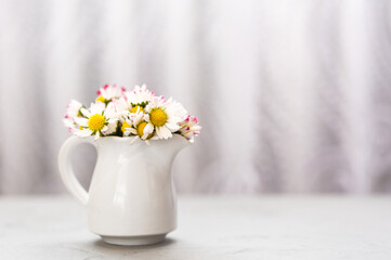 Daisy flowers in a vase on gray background with copy space. minimalist style. Spring holidays concept. Banner. Soft focus