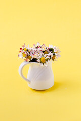 Daisy flowers in a vase on a pastel yellow background with copy space. minimalist style. Spring holidays concept. Banner. Soft focus