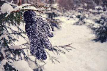 A lost knitted glove hangs on a branch of a Christmas tree in the middle of a winter forest