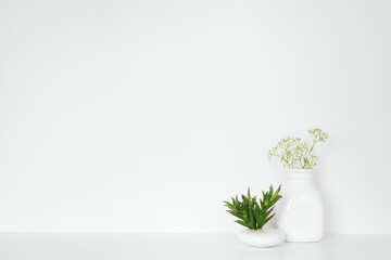 Succulent plant and Baby's Breath flowers in a white vase. Side view on shelf against a white wall....