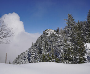 Am Karkopf im Chiemgau