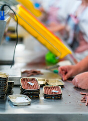 Artisanal manufacture of cantabrico anchovies, Anchovy factory, Laredo, Cantabrian Sea, Cantabria, Spain, Europe