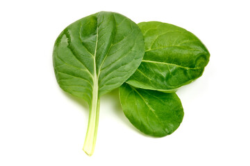 Spinach leaves, isolated on white background. High resolution image