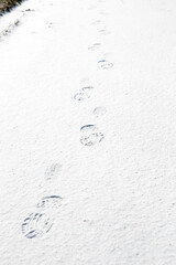 human footprints in the snow