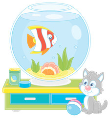 Cute grey kitten watching a funny striped butterfly fish swimming in a home round home aquarium with a sea shell and seaweeds, vector cartoon illustration isolated on a white background