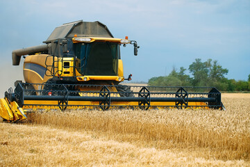 Combine harvester harvests ripe wheat. agriculture.