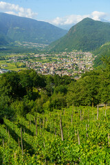 Panoramic view of Valtellina from Ardenno at summer