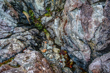 Tidal pools along the shorelines along the coast of Tofino British Columbia