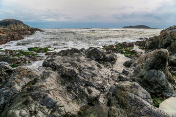 Fototapeta na wymiar Rugged Shorelines along the coast of Tofino British Columbia