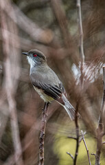 paisajes de patagoniaia
