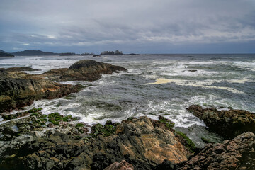 Rugged Shorelines along the coast of Tofino British Columbia