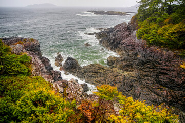 Rugged Shorelines along the coast of Tofino British Columbia
