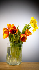 bouquet of red and yellow tulips standing in a glass vase on a wooden table with a gray background