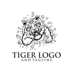 A Tiger angry animal sports mascot holding a soccer football ball and breaking through the background with its claws.