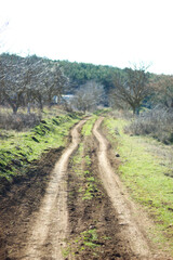 Obraz premium country way. countryside