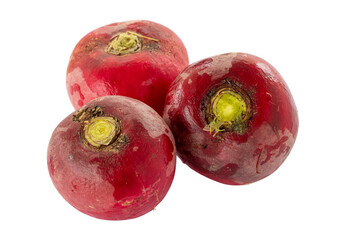 Red radish isolated on a white background