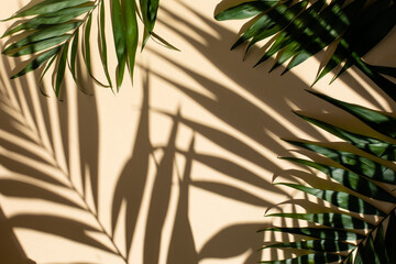 Abstract background of fresh palm leaves and shadows on the beige wall - 418983370