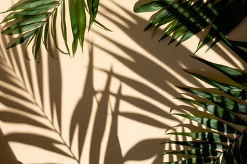 Fototapete Badezimmer Abstract background of fresh palm leaves and shadows on the beige wall  © oksix