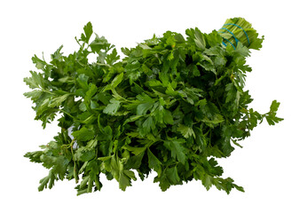parsley isolated on a white background