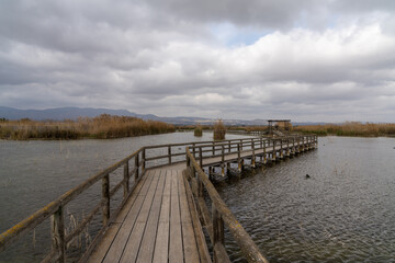Fototapeta na wymiar long wooden pier and boardwalk in brackish water wetlands with esparto grass and lagoon under an overcast sky