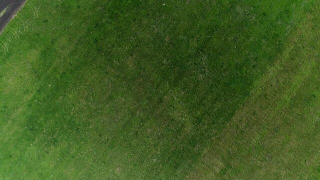 Top view of green field and a black arable land in Russia
