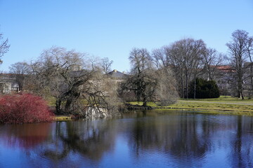 Fototapeta na wymiar Sonnige, idyllische Parkanlage in Potsdam mit Wasser, Bäumen und Architektur bei Sonnenschein und blauem Himmel