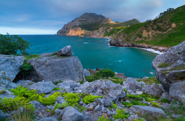 Fototapeta na wymiar Ferns, San Julian beach, Mount Candina, Cantabrian Sea, Liendo valley, Cantabria, Spain, Europe