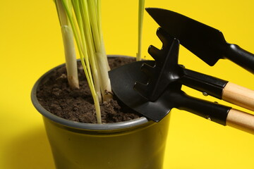 on a yellow background, a flower pot with soil and sprouts and tools for their care 