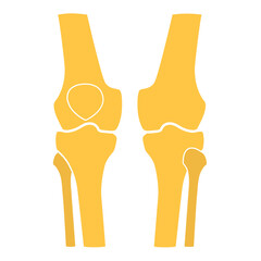 Human knee  leg  front and back view. Vector illustration. Flat design