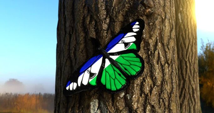 Flag of Lesotho on Butterfly Wings Realistic 4K UHD 60FPS