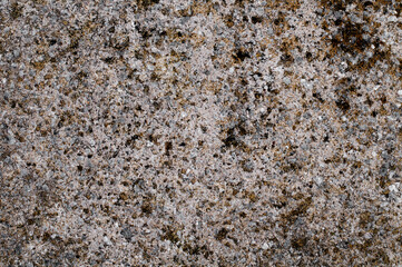 Rough textured concrete, for use as a background, overlay and desktop.