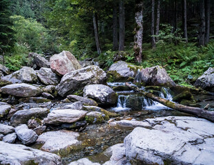 rocks