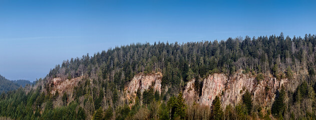 Eckenfels im Lierbachtal im Schwarzwald