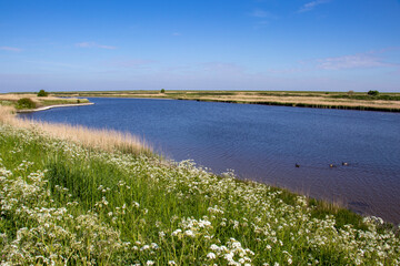 Naturschutzgebiet Hauener Pütte- Nordseeküste - 5