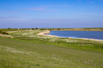 Naturschutzgebiet Hauener P&uuml;tte- Nordseek&uuml;ste - 1
