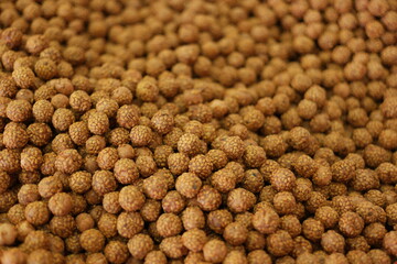 Chocolate candies covered with sesame seeds. Crispy edible balls background. Idea for breakfast.
