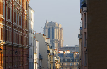 The towers of the magnificent Notre Dame Cathedral on the Ile de la Cite and parisian houses, Paris .