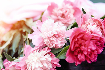 Delicate pink peonies bouquet background with copy space. Spring, summer bright concept on fresh green background