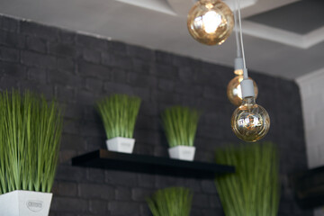 Green stylish plant and lamps on the dark brick background. Stylish modern cafe interior