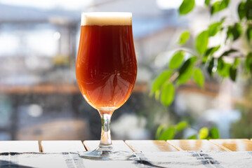 A delicious glass of home brewed craft beer on a table