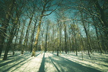 Fototapety na wymiar - Fototapeta24.pl