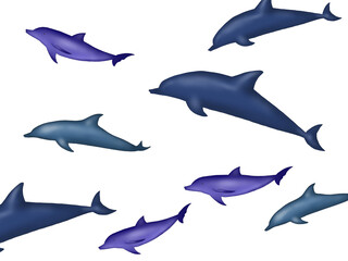 set of swimming. dolphins on white 